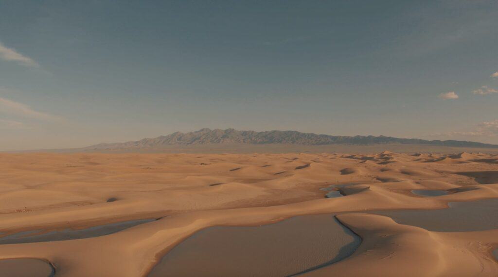 Vast sand dunes in the Mongolian Gobi Desert under a clear sky.