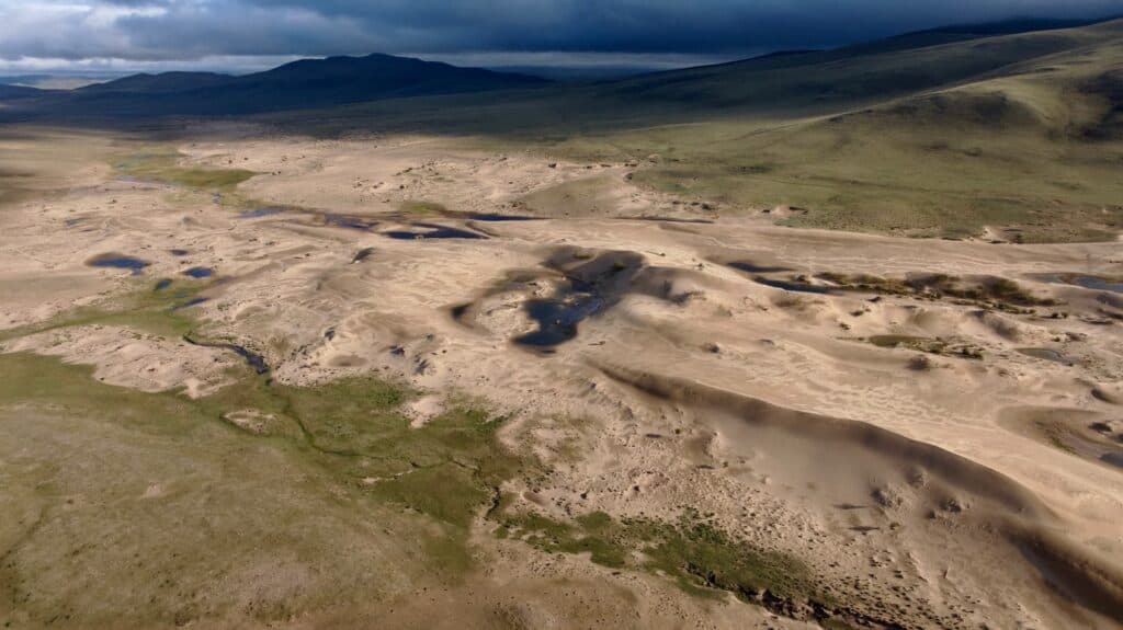منظر طبيعي لكثبان إلسن تاسارخاي الرملية المحاطة بالمراعي الخضراء في منغوليا.
