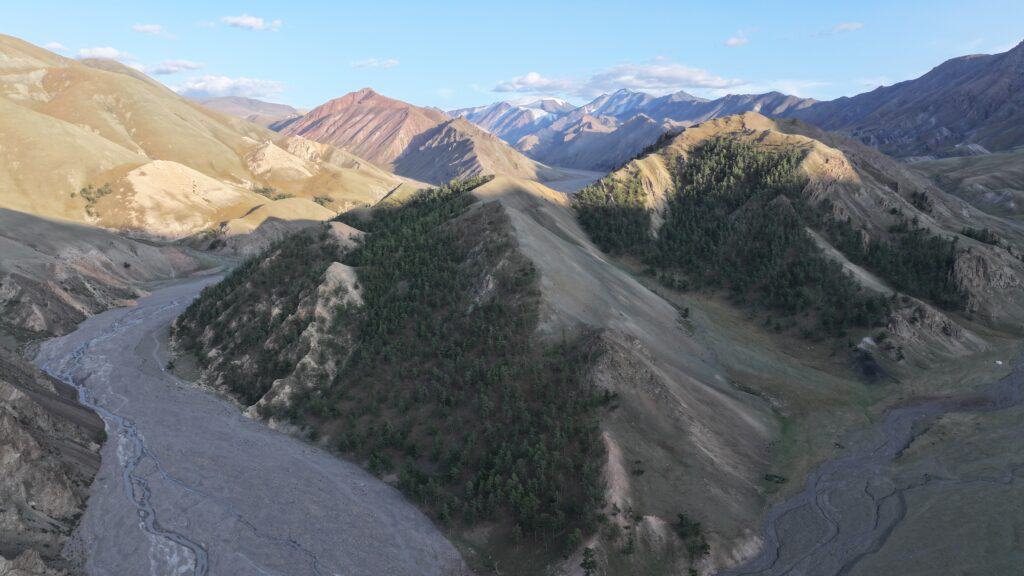 وادٍ ذو مناظر طبيعية خلابة مع أنهار متعرجة وتلال غابات خصبة في منغوليا.