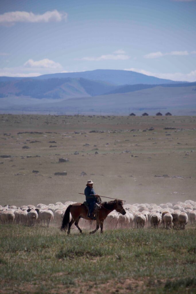 nomad on horse