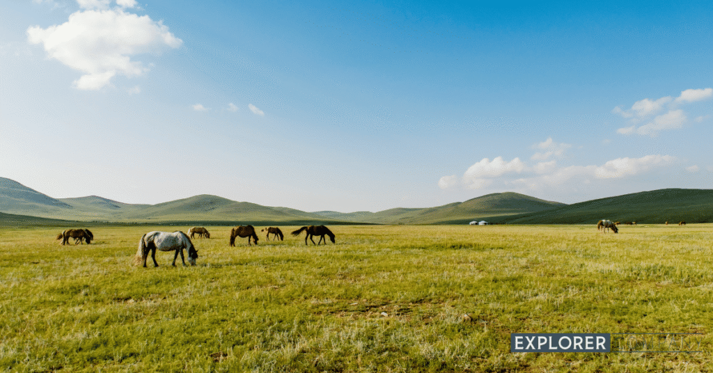 Mongolia Tour Package