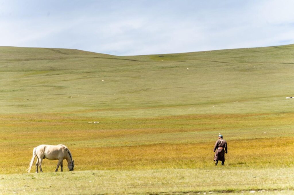 Mongolian man and his white horse standing in a green field.