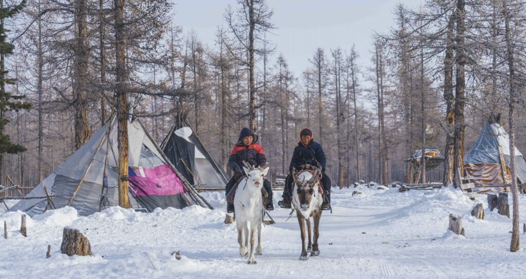 Tsaatan kids riding reindeer in the northern Taiga of Mongolia