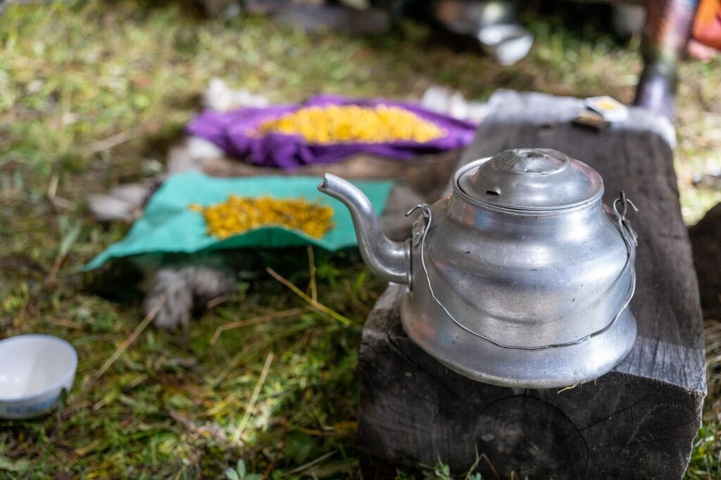 Silver tea kettle with homemade tea inside the teepee tent in Mongolia.