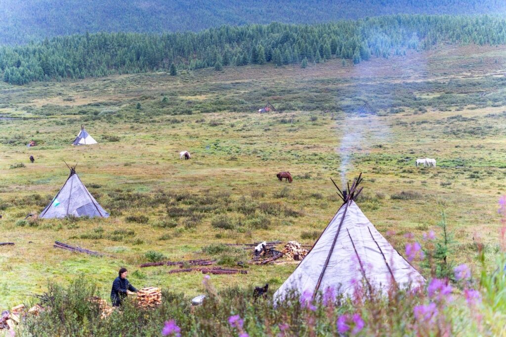 Teepee and nomads in a stunning taiga landscape with purple flowers.