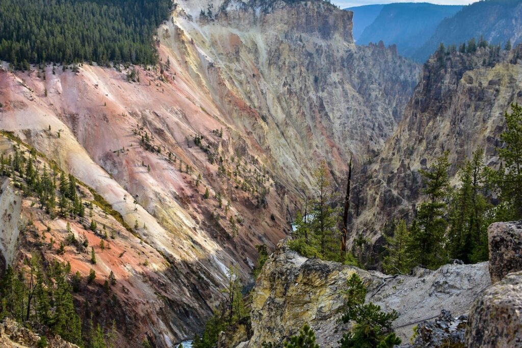 Forested areas of Yellowstone