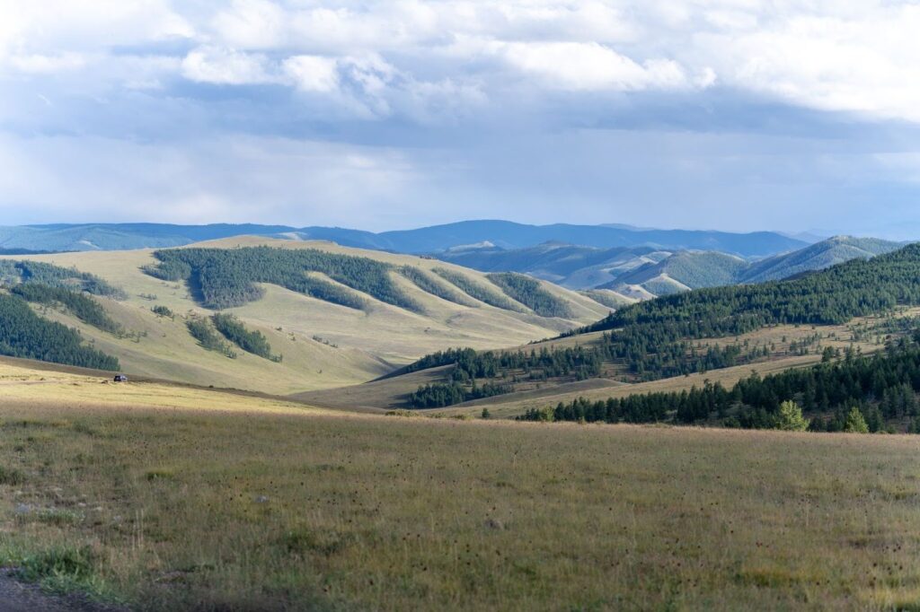 Green rolling hills with some forest in Mongolia