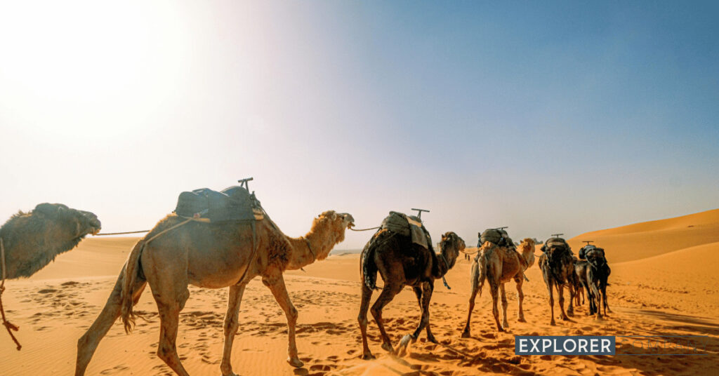 Beauty of the Mongolian Gobi Desert