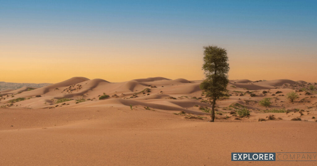 Cultural Experiences