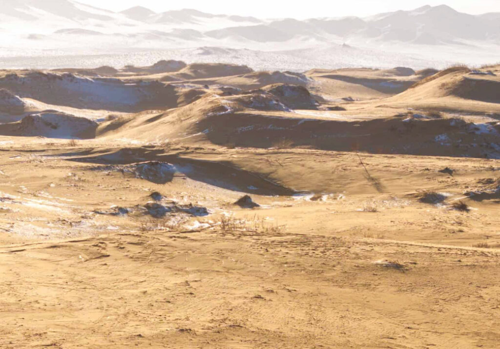 Gobi in Winter