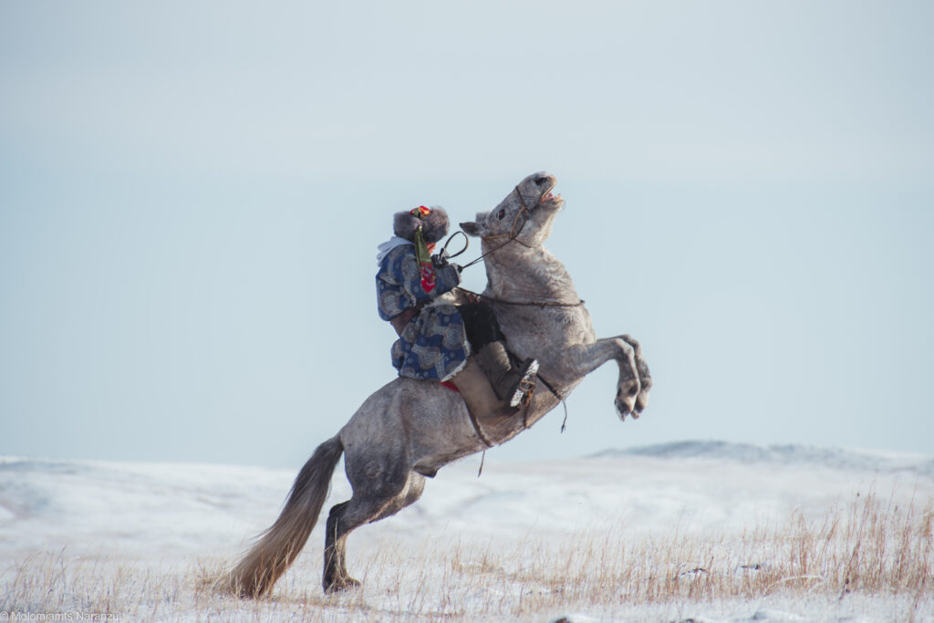 Nomad on a jumping horse in Mongolian winter
