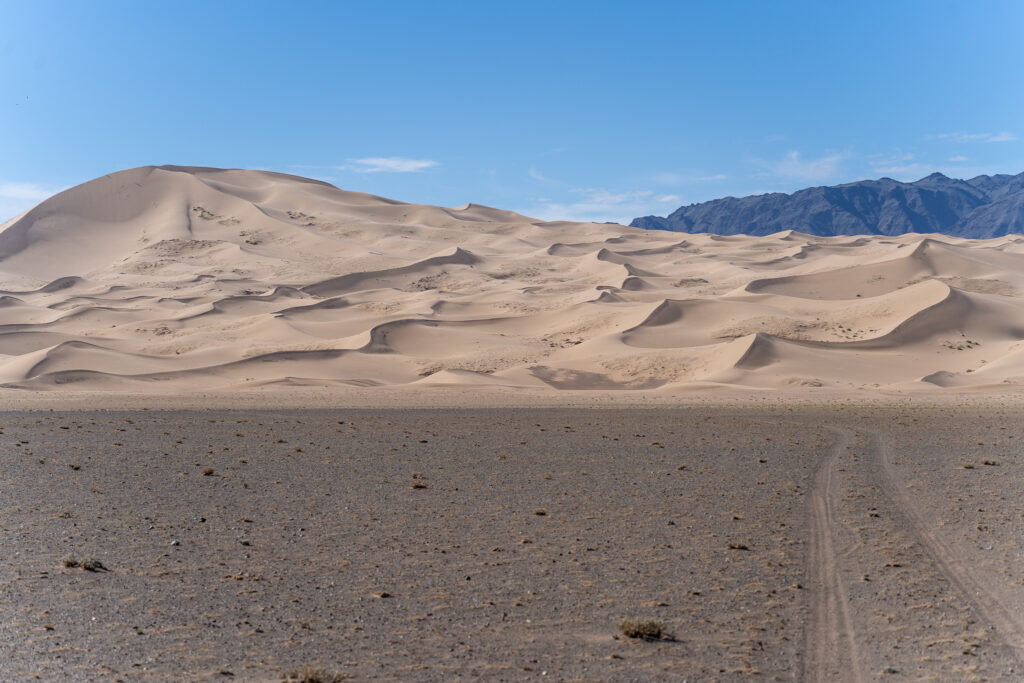 Tall sand dunes with a hard packed road in front of it in the Gobi Desert
