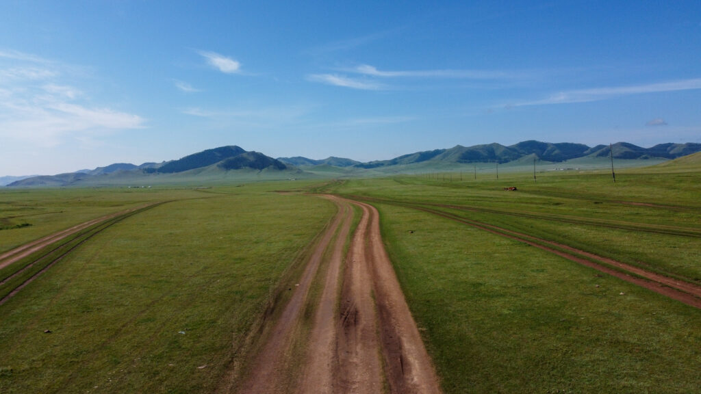 Dirt tracks going through a grassy open landscape